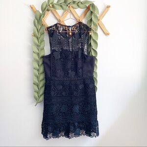 Ever New Melbourne Black Lace Dress
